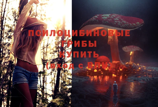 кокс Армянск